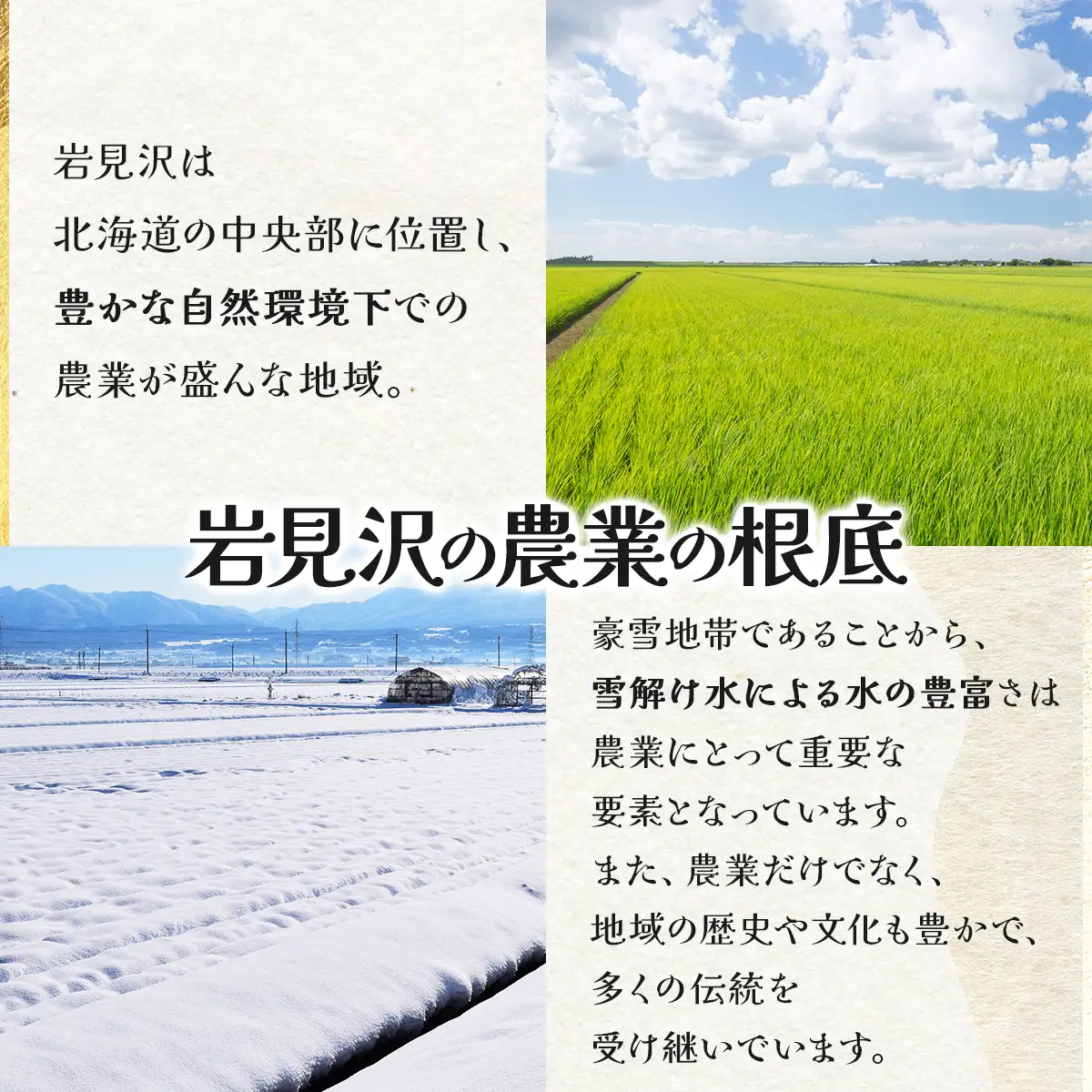 ＜令和8年産＞お米 おぼろづき 10kg｜『100%自家生産精米』善生さんの自慢の米 北海道 岩見沢市 精米 白米 新米【a104-119】