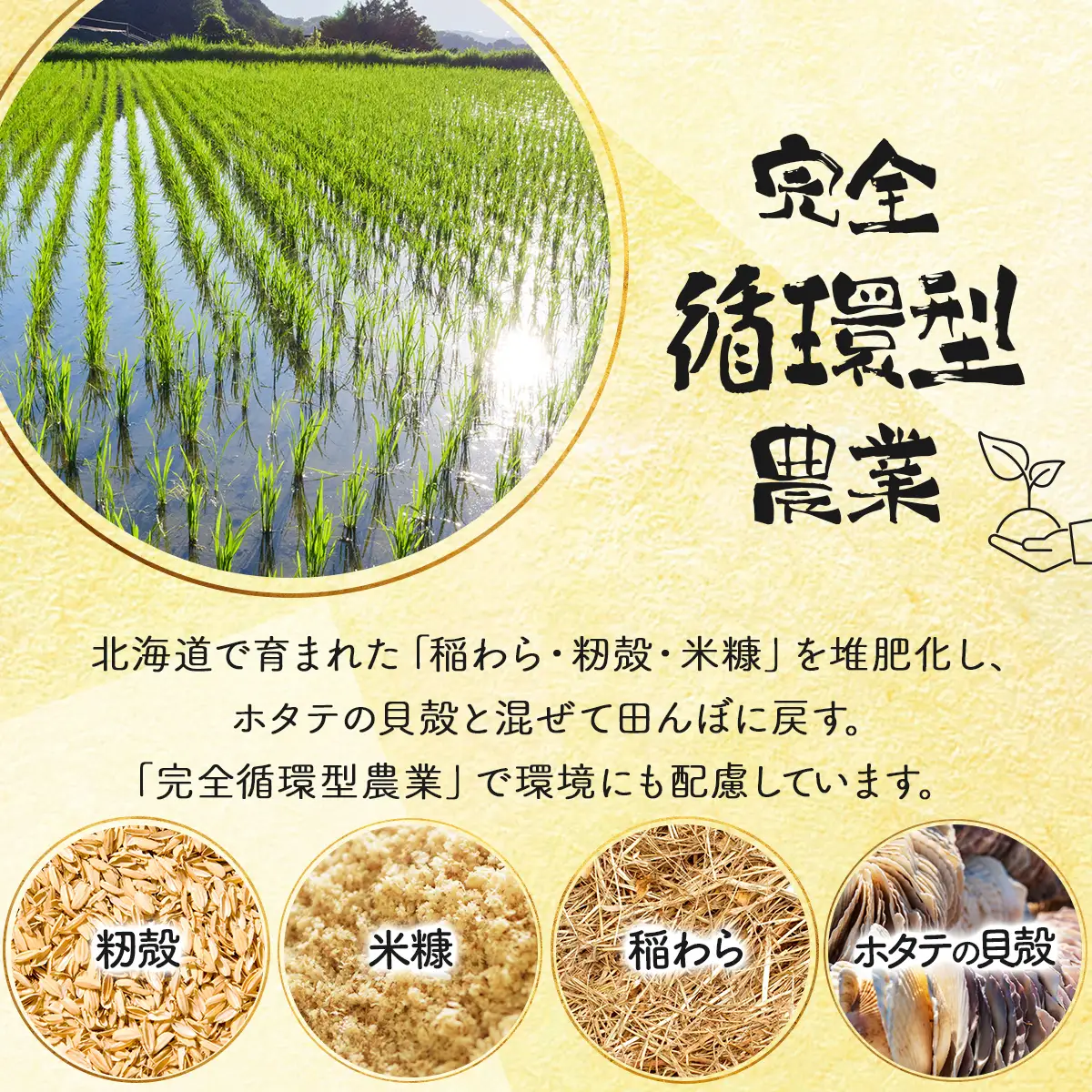 ＜令和8年産＞『100%自家生産玄米』善生さんの自慢の米 玄米おぼろづき 10kg｜北海道 岩見沢市 お米 新米【a104-120】