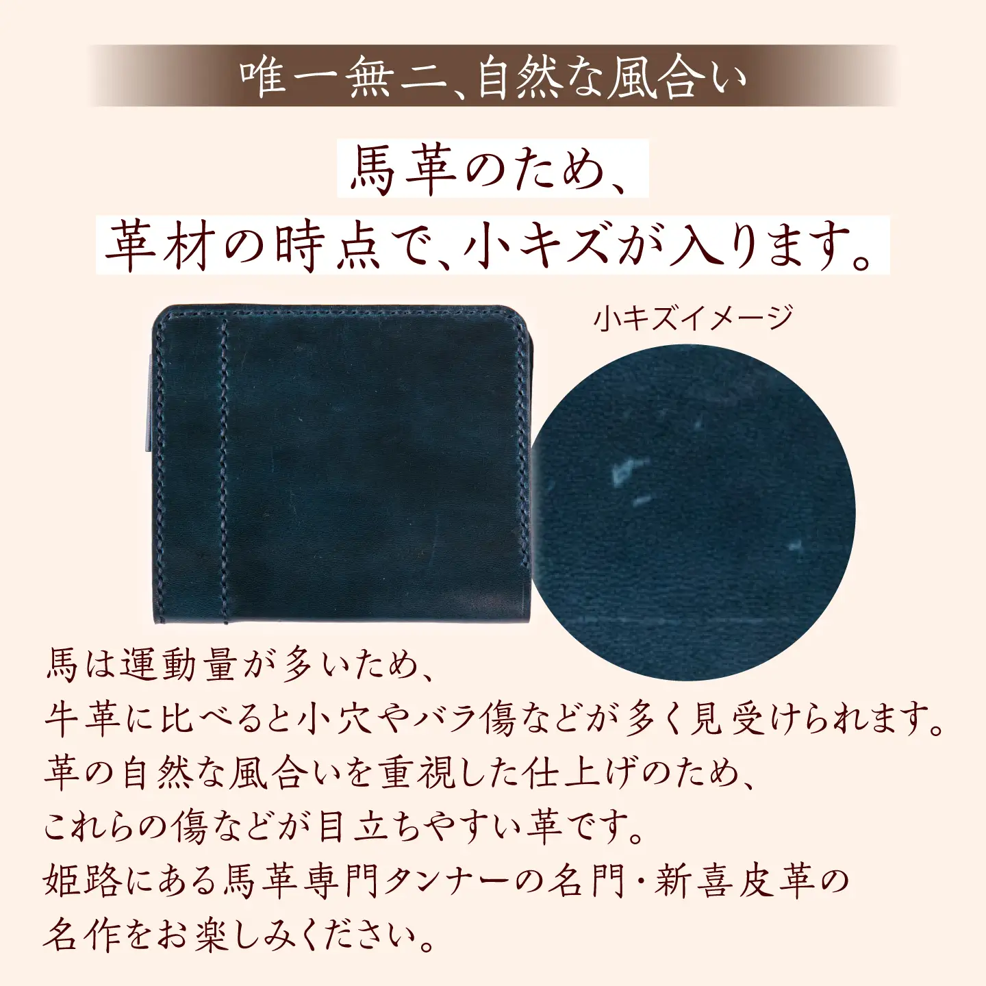 【馬革/限定カラー】国産スムース馬革の二つ折り財布（藍色）《築上町》【たけもとかばん】 革製品 馬革 高発色[ABAM065]