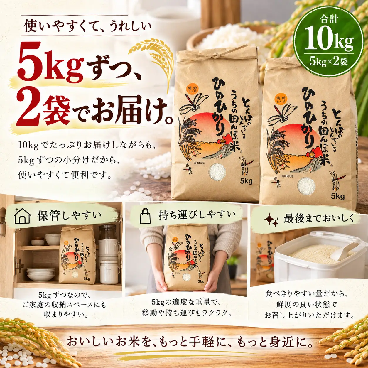 新米 令和8年産 ひのひかり 白米 計10kg(5kg×2袋)  B-フレスコ葛城 【bfrk003】