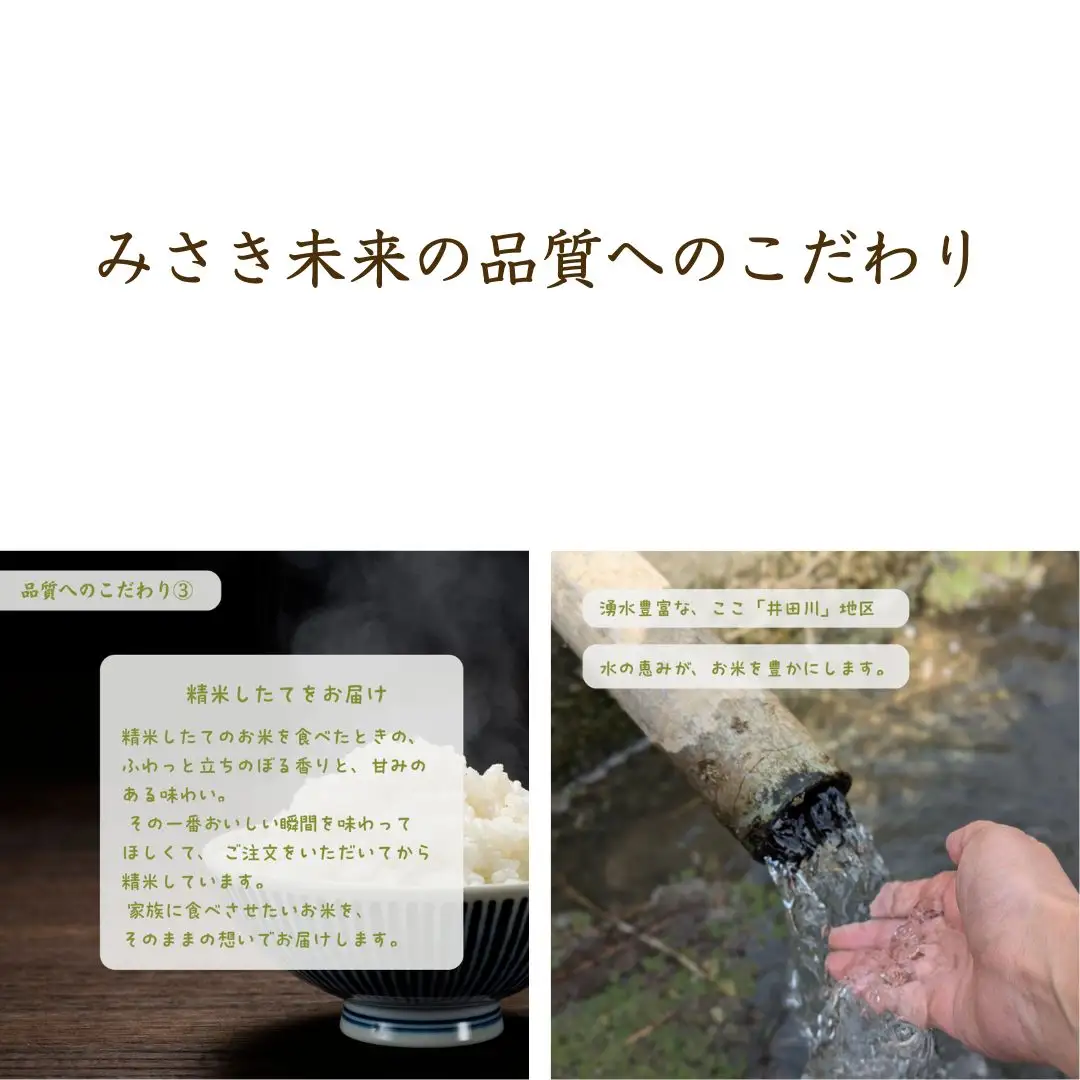 【先行予約】【9か月定期便】白米おまかせ3品種 各品種・計270kg (10kg×9回) 令和8年産 コシヒカリ・にじのきらめき・天のつぶ | 南相馬 みさき未来
