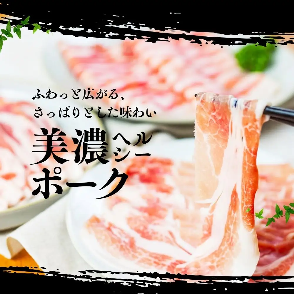 【定期便】飛騨牛 ・ 豚 づくし 定期便 全3回 | 本巣市 トキノ屋 食品