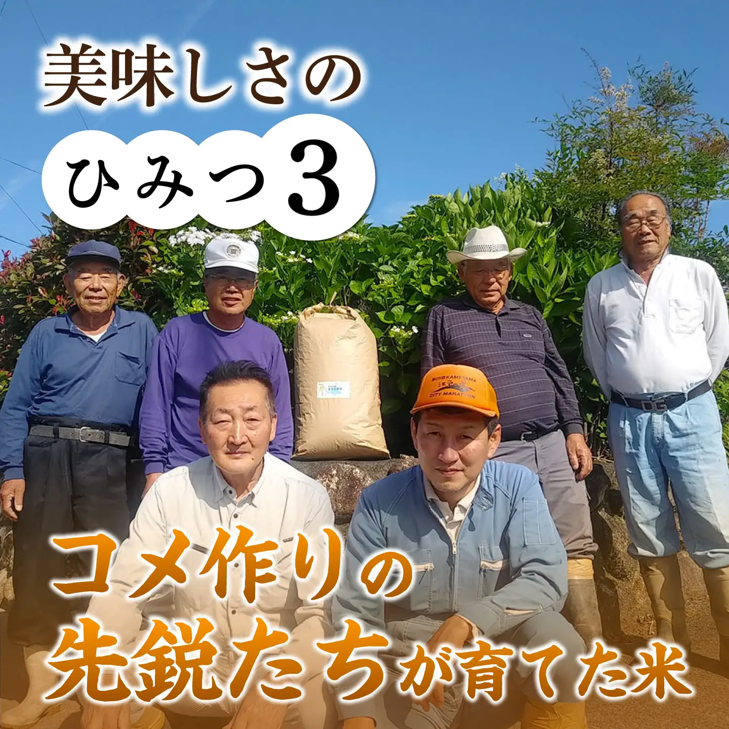 おいしい!亀山・白川産コシヒカリ 10kg 亀山市/せせらぎの里営農組合 お米 コシヒカリ 送料無料[AMAX004]