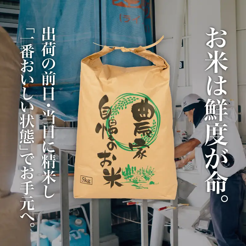 令和8年産】 ミルキークイーン 10kg 新米 白米 環境こだわり米 特別