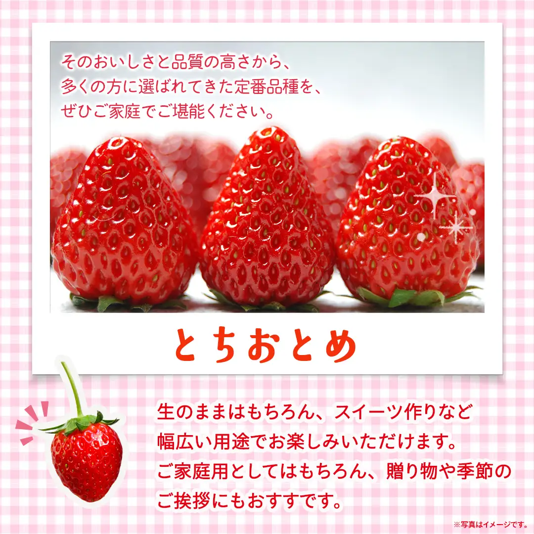 【定期便】とちおとめ 約250g（15～18粒）×4パック 3ヶ月連続お届け便【2026年12月から発送開始】（茨城県共通返礼品 [いちご]：城里町産）