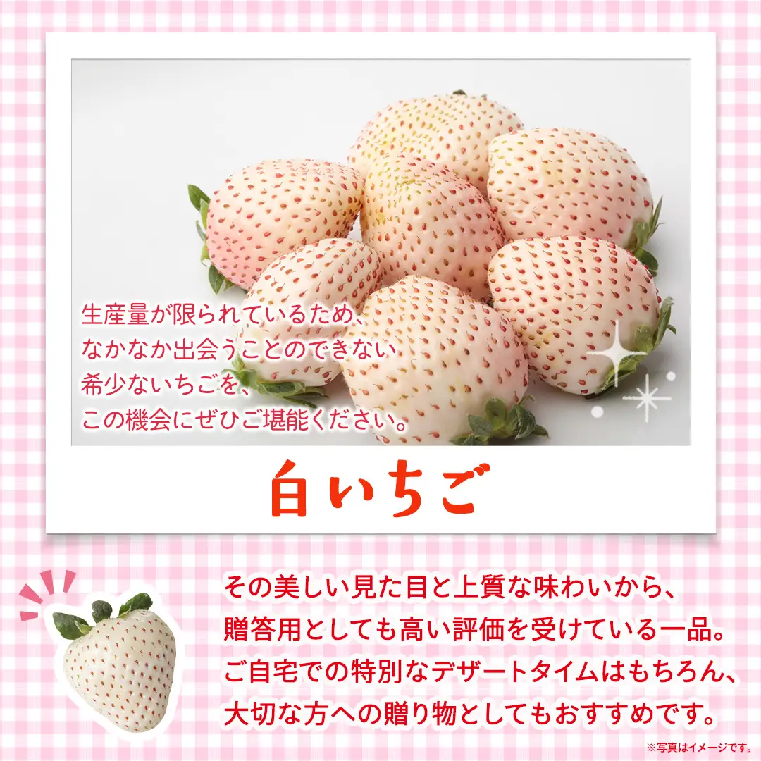 【定期便】白いちご 約200g×4パック 3ヶ月連続お届け便【2027年1月から発送開始】（茨城県共通返礼品 [いちご]：城里町産）