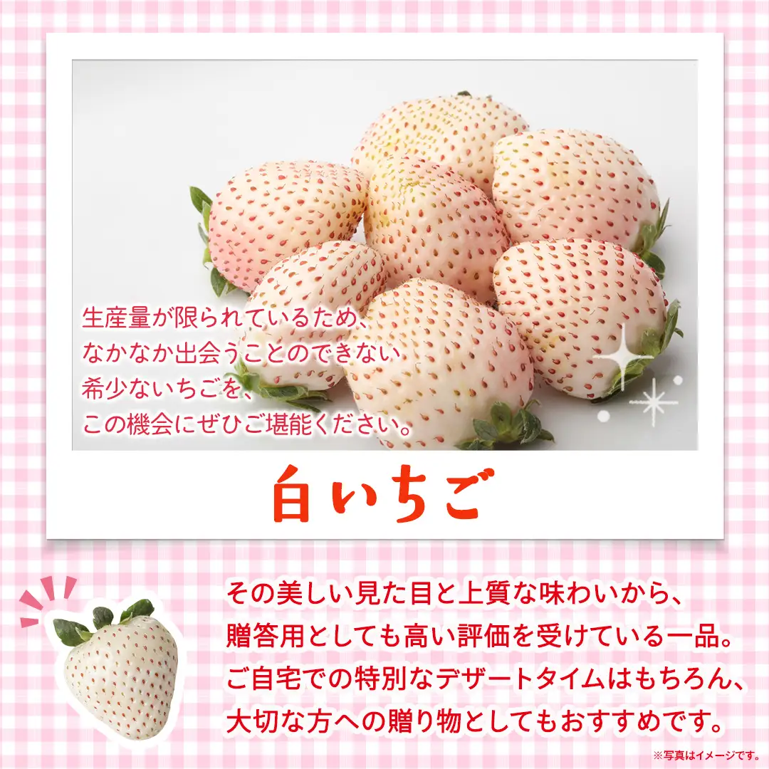 白いちご 約200g（15～18粒）×4パック【2027年1月から発送開始】（茨城県共通返礼品 [いちご]：城里町産）