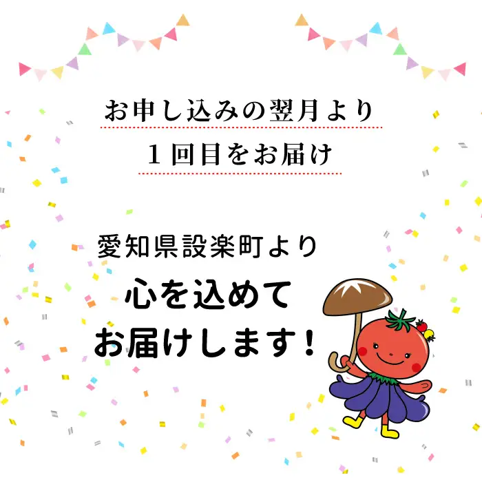 《全6回 定期便》 合計10㎏越え！！どっさり 定期便 もも肉 サーモン 手羽先 むね肉 せせり肉 ホルモンミックス 鶏肉 魚介 大容量 大家族 ストック パーティー 愛知県 設楽町-306