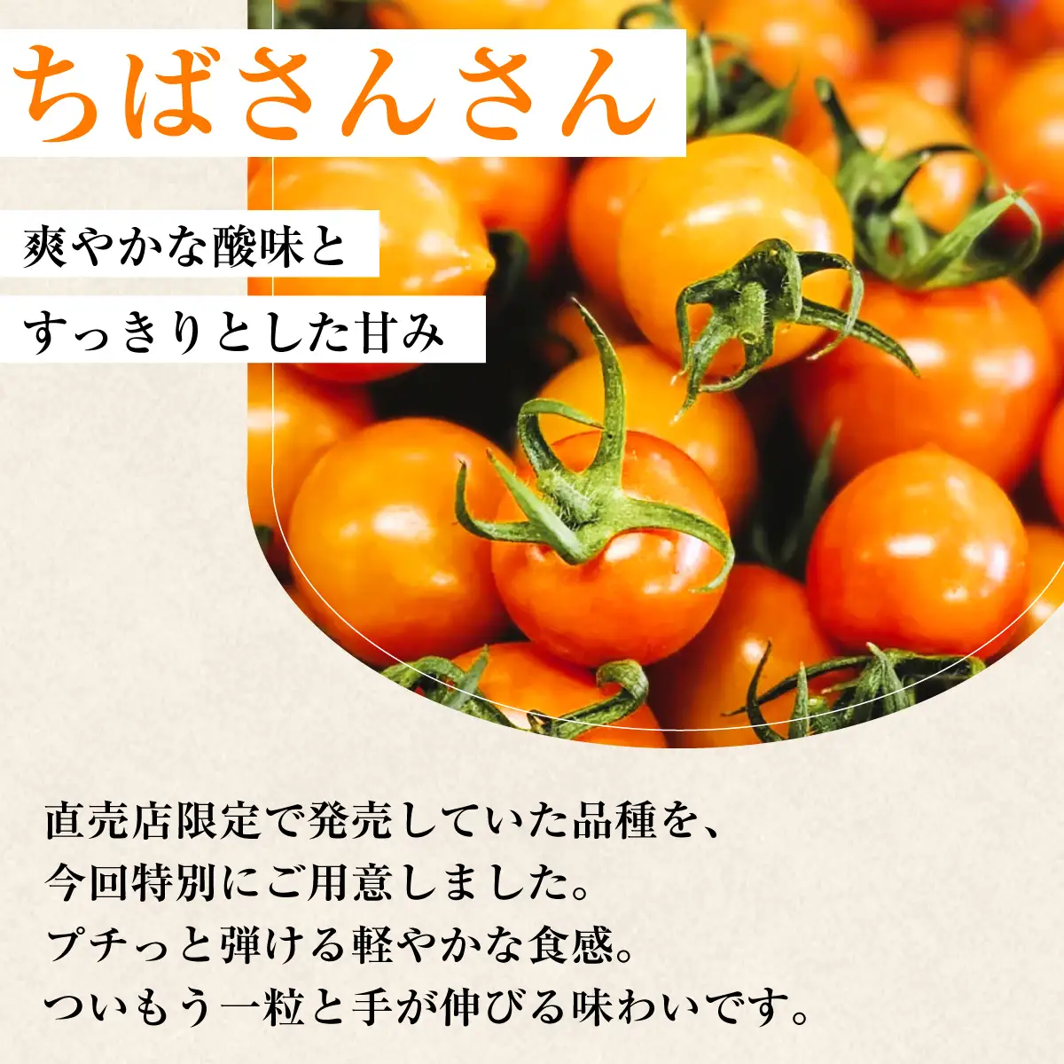 【限定10箱/12月から順次発送予定】濃厚フルーツトマト 1kg 糖度9度～11度 食べ比べ セット ポモ・ロッサ 陽だまりセレクション 先行予約
