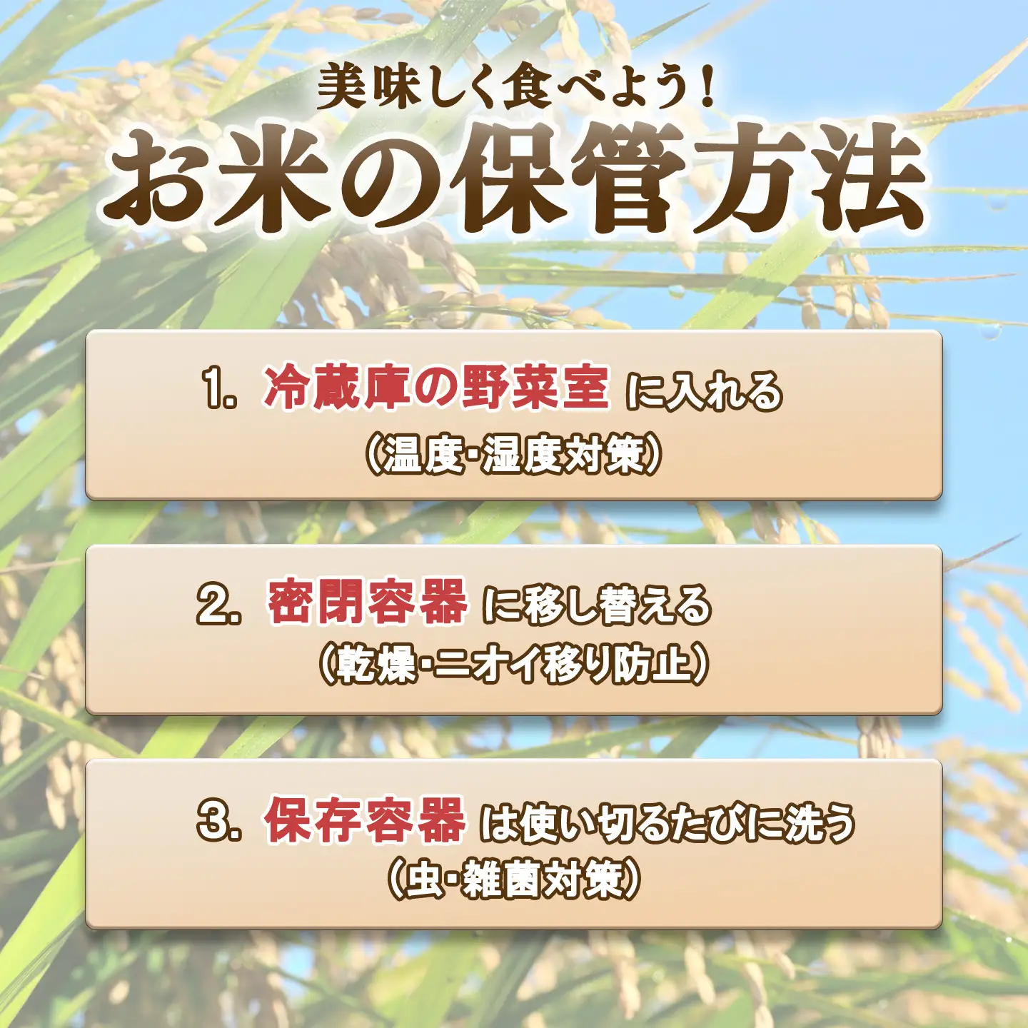 米 令和8年産 コシヒカリ 30kg 玄米 こしひかり