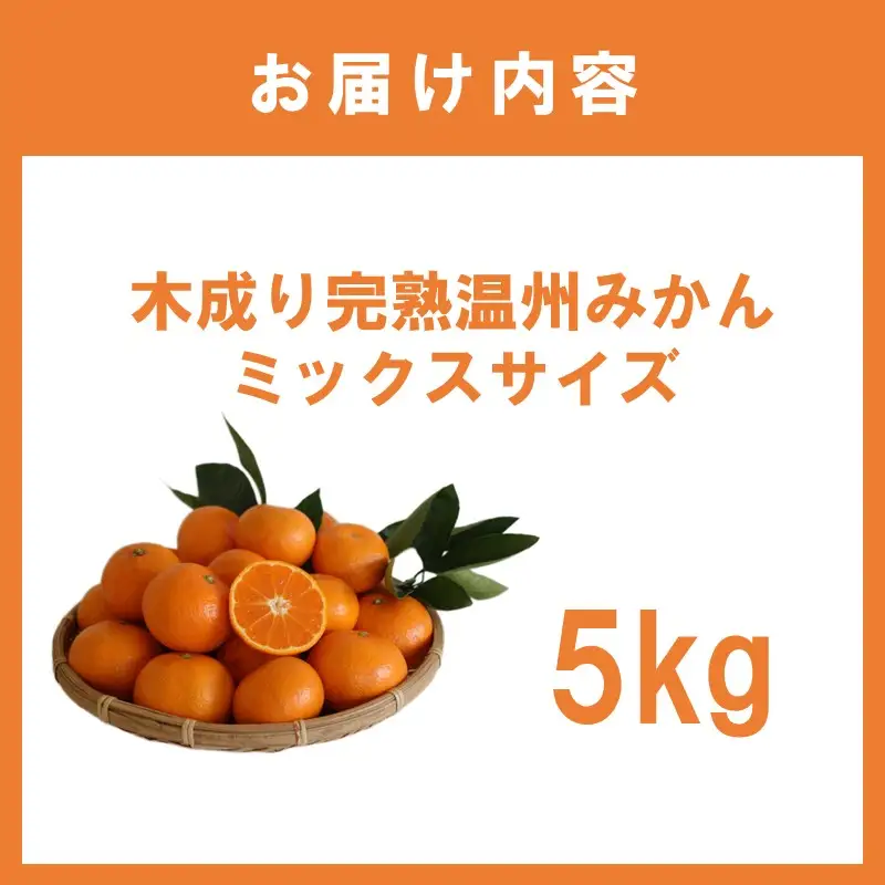 木成り完熟温州みかんミックスサイズ5kg【1362】