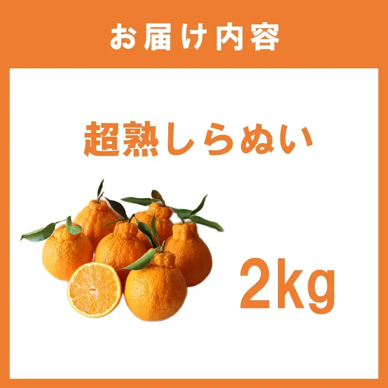 超熟しらぬい 2kg＜先行予約2027年3月発送開始分＞【1364】
