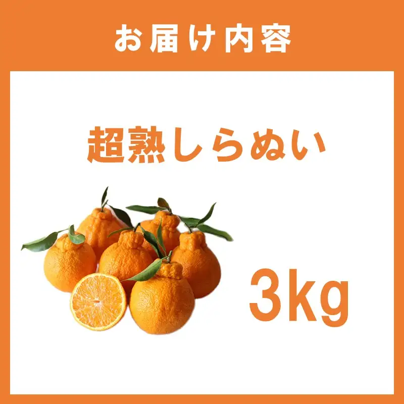 超熟しらぬい 3kg＜先行予約2027年3月発送開始分＞【1365】