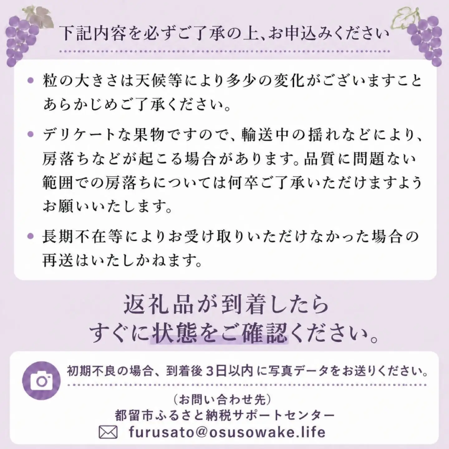 【2027年 先行予約】朝採れ 藤稔 ぶどう ブドウ