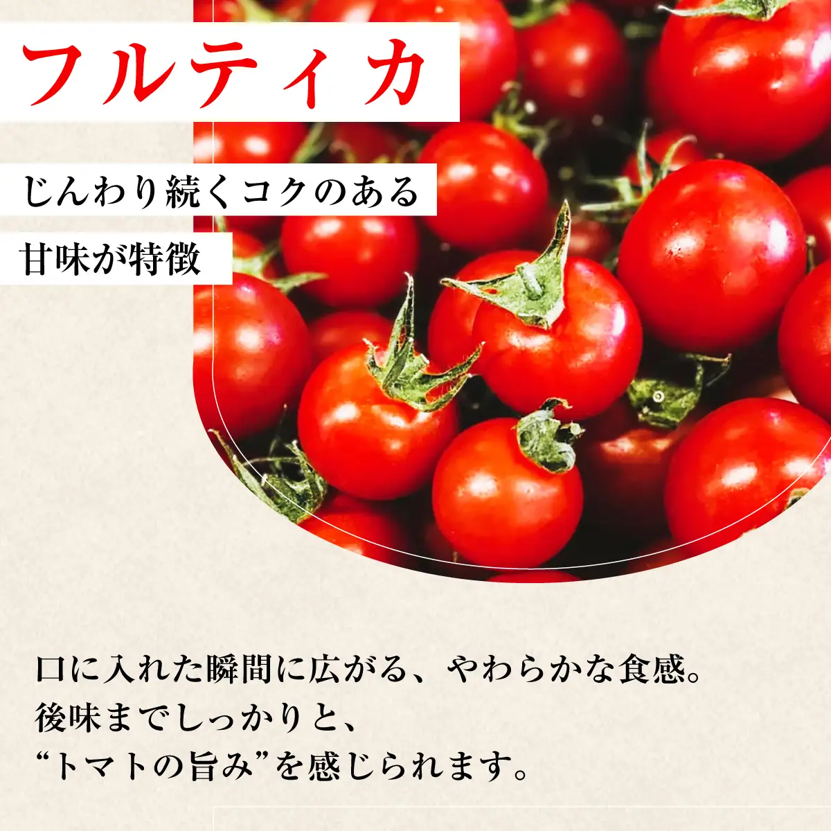 【12月から順次発送予定】濃厚フルーツトマト 1kg 糖度9度～11度  ポモ・ロッサ 陽だまりセレクション 先行予約