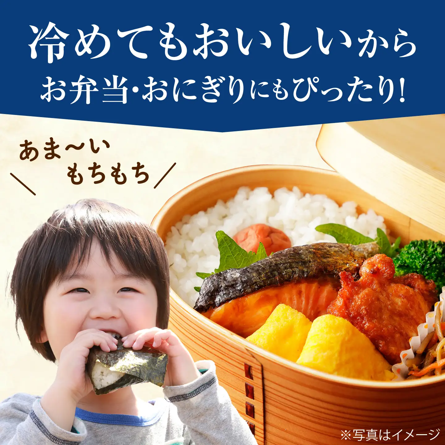 新米【全5回定期便】 はるみ 5kg  令和8年産 米【遠藤ファーム】[BDAF006-5]