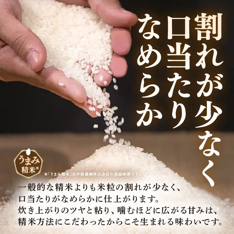 【先行予約】【令和8年産】【定期便3回】伊与衛門農園の自然栽培コシヒカリ精米 5kg×3回 ＜温度と湿度を常時管理し新鮮米を出荷！＞/ 米 白米 自然の力 高品質 鮮度抜群 ブランド米 福井県 あわら市産 スマート農業 ※2026年10月下旬以降順次発送 [aw071-f002]