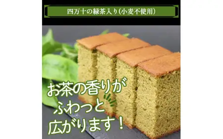 【龍馬の太鼓判】四万十の米粉カステラ プレーン/四万十の緑茶半斤2本セット カステラ グルテンフリー 米粉／Bmu-C38