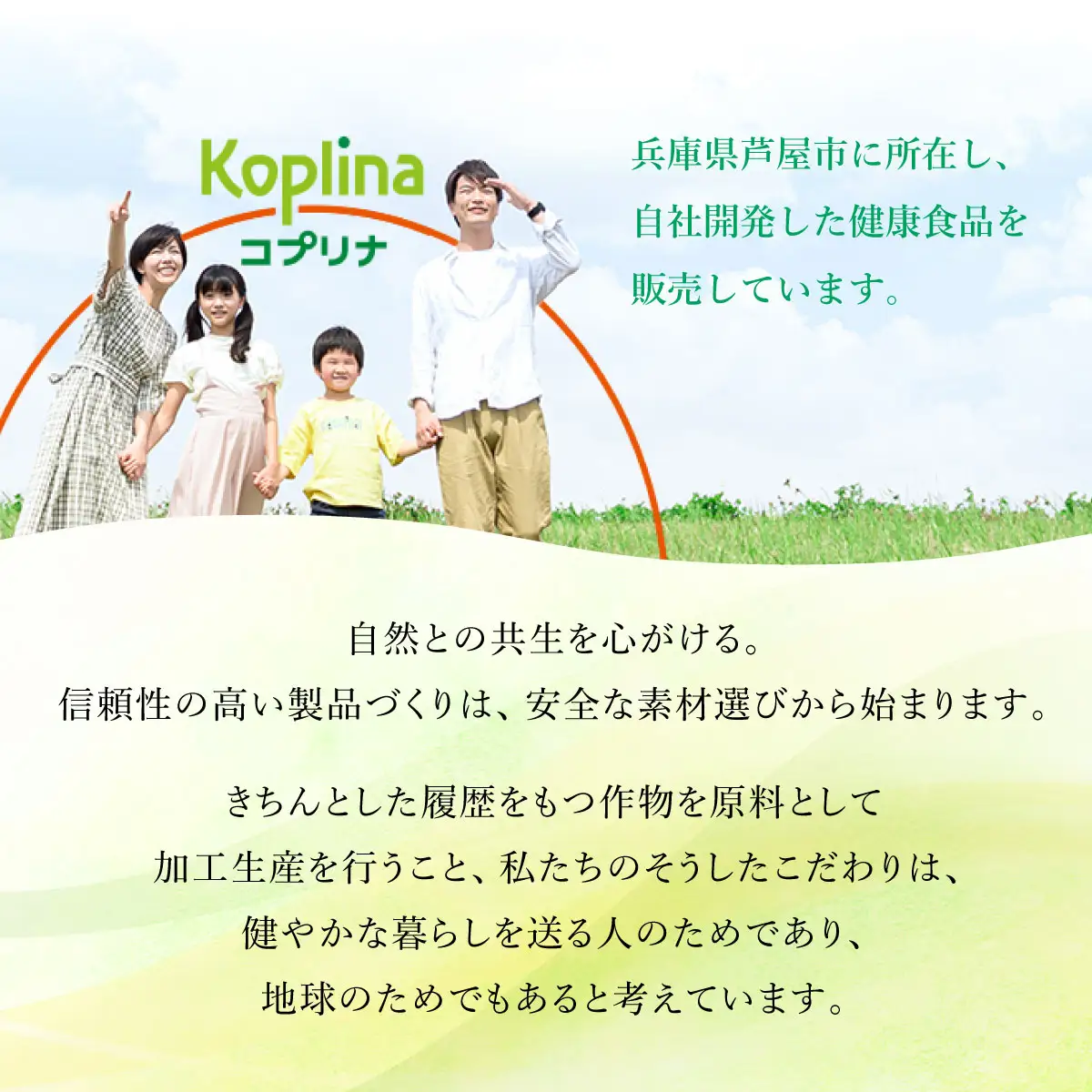 グミサプリ 4種組み合わせ（ビタミン、鉄＆カルシウム、DHA＆ビタミン、ルテイン各1袋）