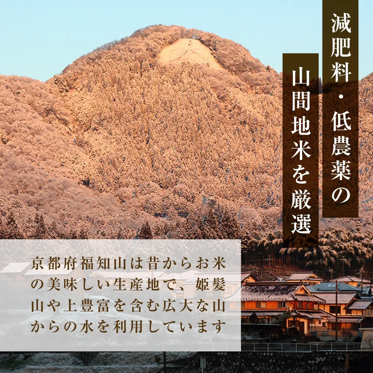 令和8年産 新米 ミルキークイーン 精米 計10kg 有限会社森成農産
