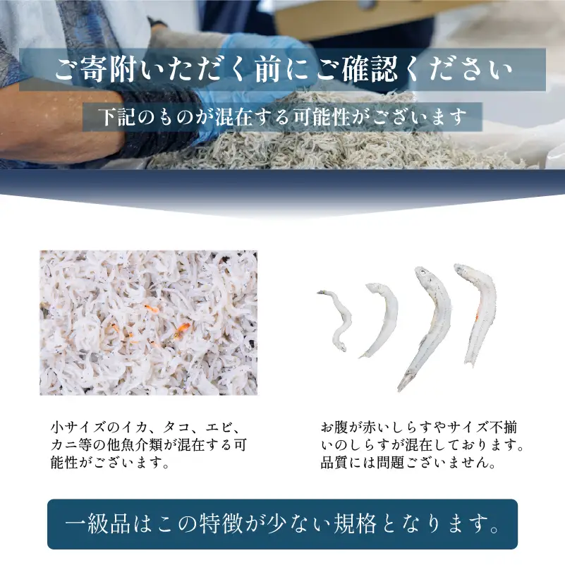 訳あり しらす 1.8kg 釜揚げしらす しらす干し 愛媛県 松前町 【MYS002】