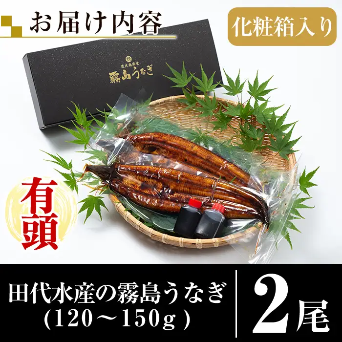 K-763 霧島うなぎ蒲焼き120～150g×2尾【田代水産】霧島市 鰻 ウナギ 蒲焼き 蒲焼 国産