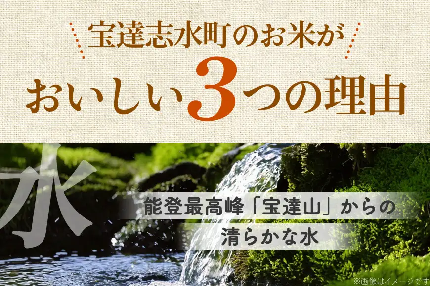 コシヒカリ 玄米 5kg 12回 定期便