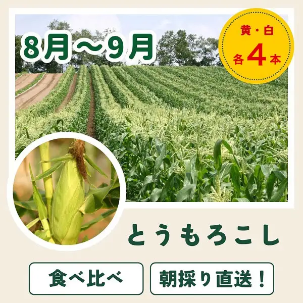 野菜 定期便 3回 【令和9年産予約受付】 美瑛の四季 百合（小） ふるなび限定 野菜 セット