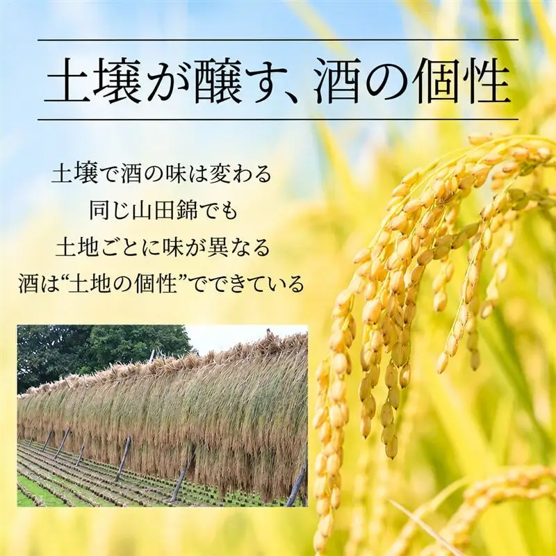 日本酒 龍力 大吟醸 ドラゴン 青ラベル 720ml 日本酒