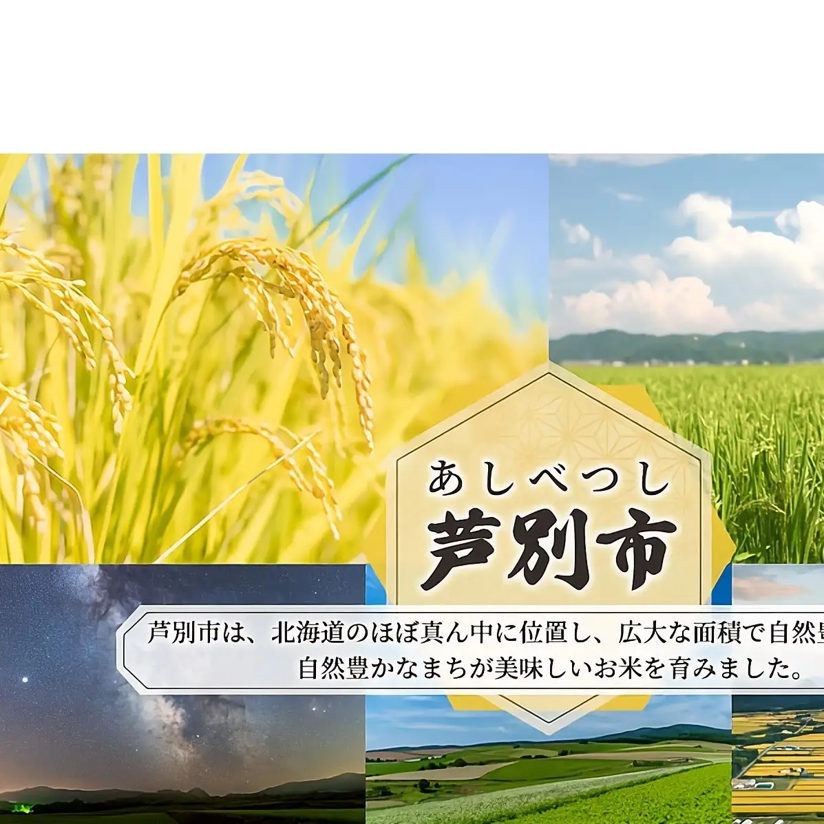北海道芦別市産 とうもろこし ミルキースイーツ 20本前後 朝採れ 当日出荷 数量限定 生食可 FuSa vineyard 夏野菜