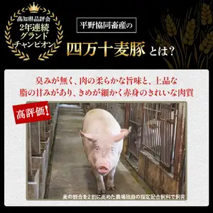 麦豚 しゃぶしゃぶ3種食べ比べ 600g（200g×3） 麦豚 四万十ポーク 豚しゃぶ 平野協同畜産 Ahc-A10