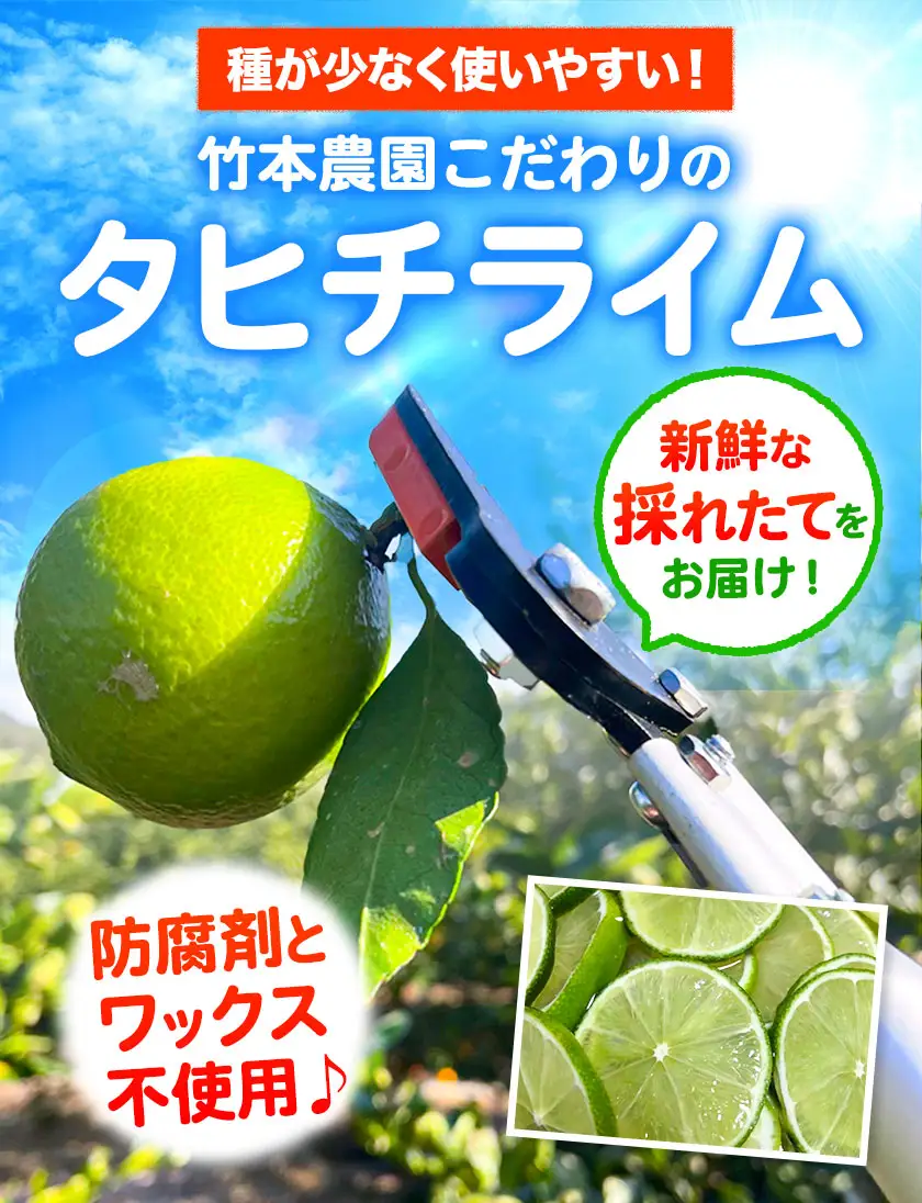 レモンとライム 詰め合わせ 約2kg レモン ライム
