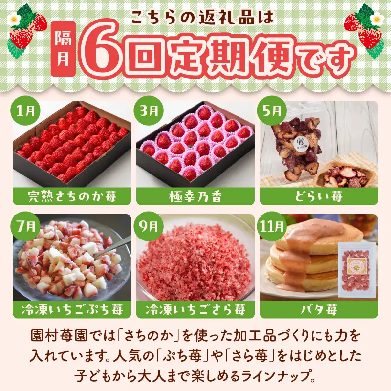 【定期便6回】園村苺園フルコース_U74-T020_6