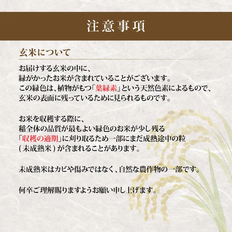【 新米予約 】 令和8年産 コシヒカリ 5kg 滋賀県 日野町 産地直送 ふるさと納税 玄米 DG008_R8