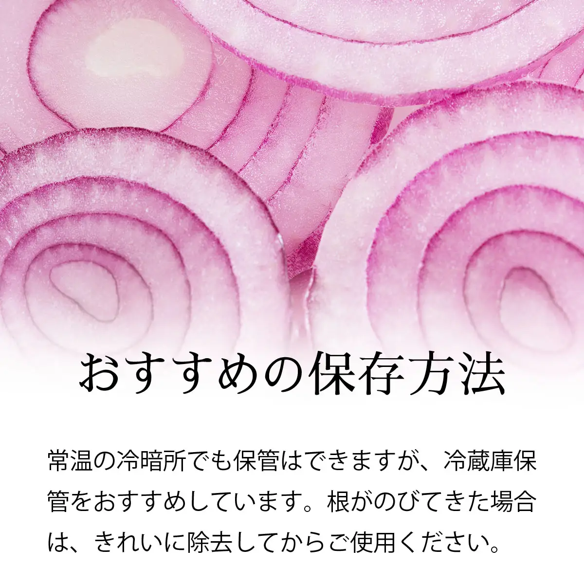 真珠の玉葱 ルージュ Lサイズ 5kg ＜海のミネラルで育てた赤玉葱＞｜玉ねぎ たまねぎ タマネギ 北海道産 岩見沢市【a134-011】