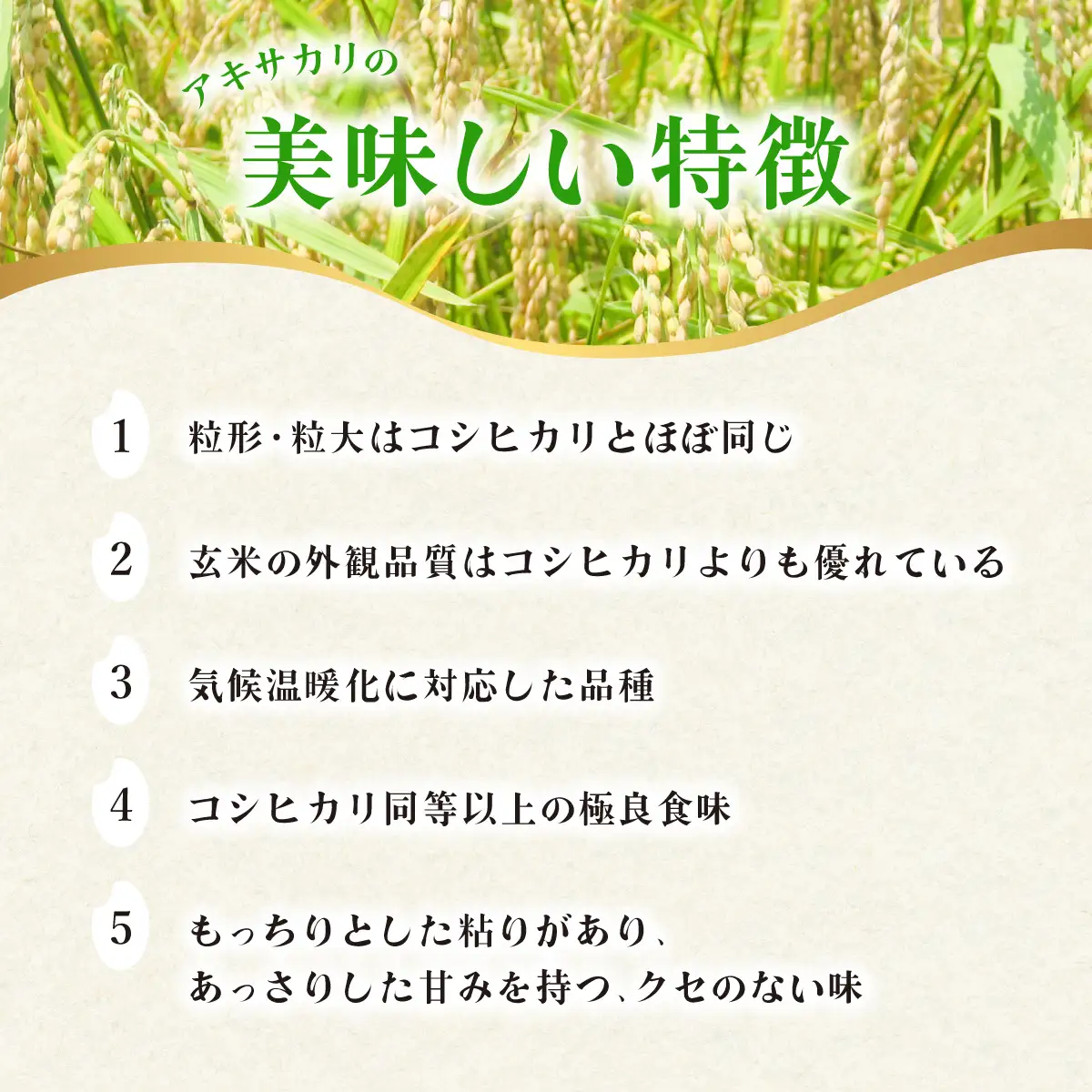 【定期便】新米 玄米 10kg×12回（合計120kg） 健方米 アキサカリ 漢方栽培