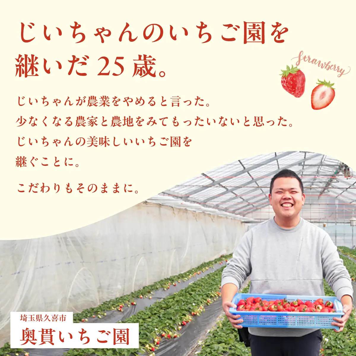 いちご あまりん 260g×2パック 先行予約