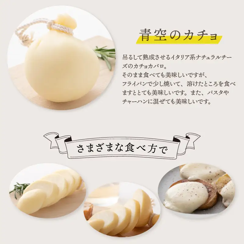 カチョカバロチーズ 2個詰め合わせ (プレーン) チーズ 発酵食品 熟成 [A-11904]