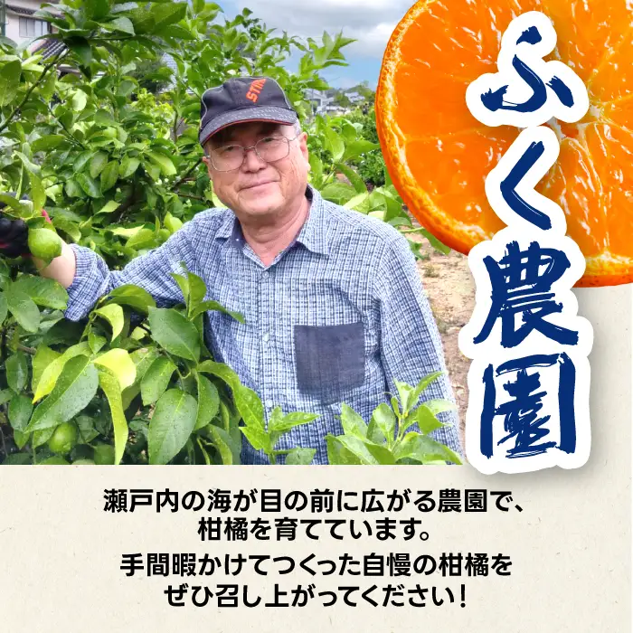 【訳あり】グリーンレモン3kg 《栽培期間中：防腐剤・ワックス不使用》2026年10月発送予定 檸檬 柑橘 果物 くだもの フルーツ 瀬戸内 251005