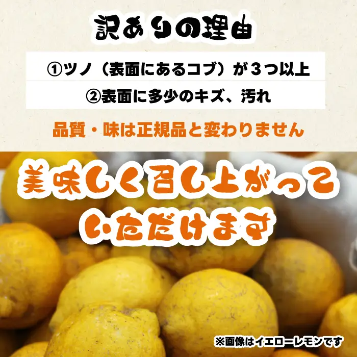 【訳あり】グリーンレモン5kg 《栽培期間中：防腐剤・ワックス不使用》2026年10月発送予定 檸檬 柑橘 果物 くだもの フルーツ 瀬戸内 251006