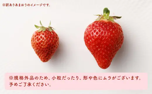 【訳あり】 福岡県産 あまおう 約660g 約330g×2パック 【2027年3月上旬～3月下旬発送】 中粒 小粒 いちご 苺 イチゴ 果物 フルーツ