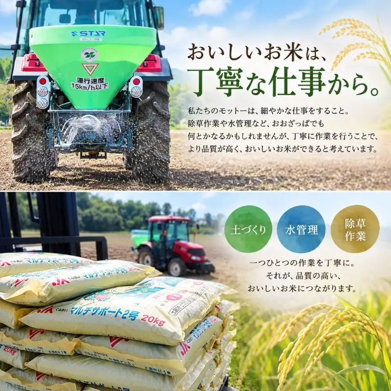 新米 先行予約 令和8年産 みずかがみ 10kg 無洗米 お米 特A受賞歴 環境こだわり栽培米 近江米 米 コメ こめ 白米 精米 ご飯 10キロ 滋賀県 豊郷町