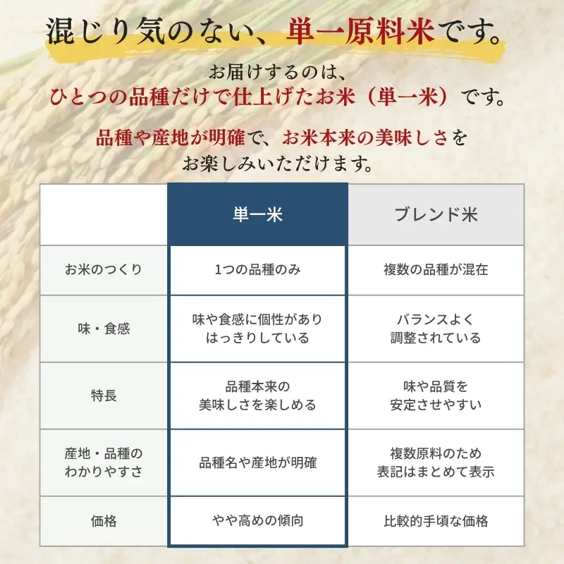 【6か月定期便/10月下旬より配送】新之助 10kg 上越産 令和8年産