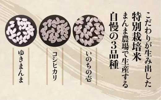 【令和8年度産 新米】飛騨コシヒカリ 10kg  特別栽培米 | お米 米 金賞受賞農家 こしひかり 飛騨高山 まんま農場 LT014VC13-26
