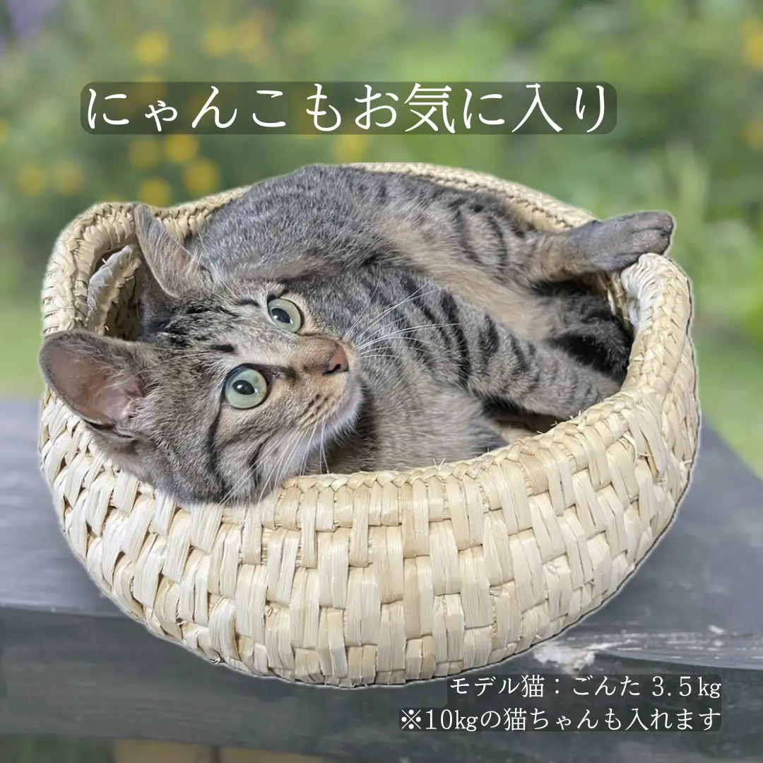 【小谷村伝統工芸品】藁で作る「猫かご」