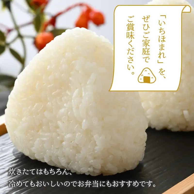 いちほまれ 30kg 精米 定期便 いちほまれ
