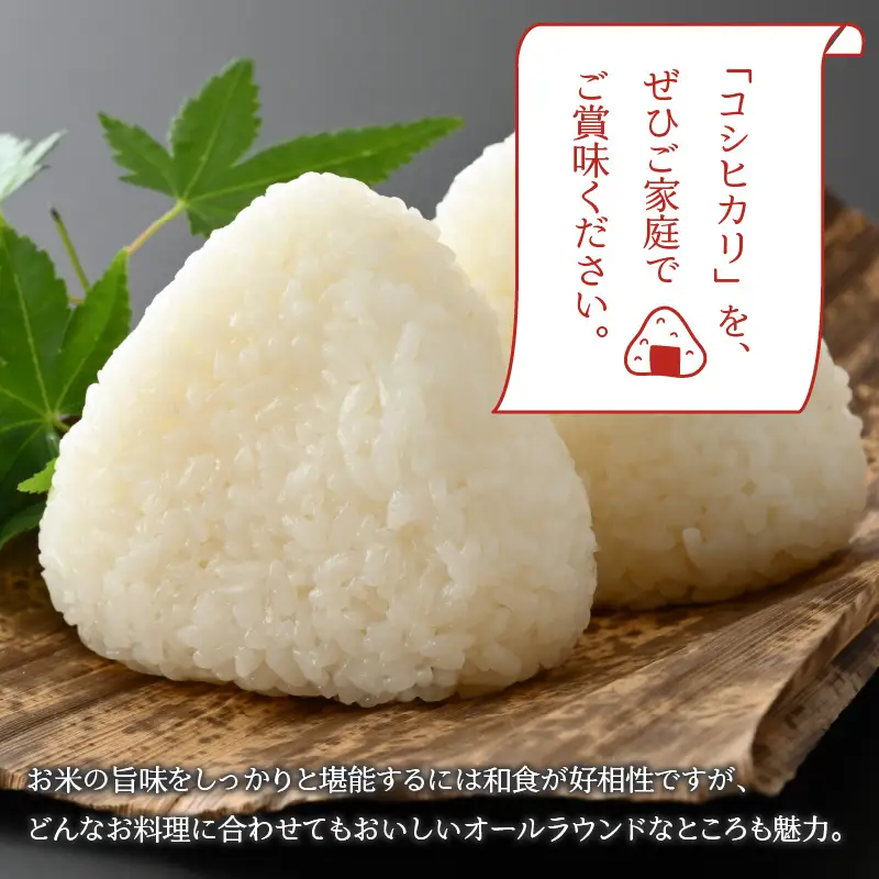 コシヒカリ 4kg 精米 コシヒカリ