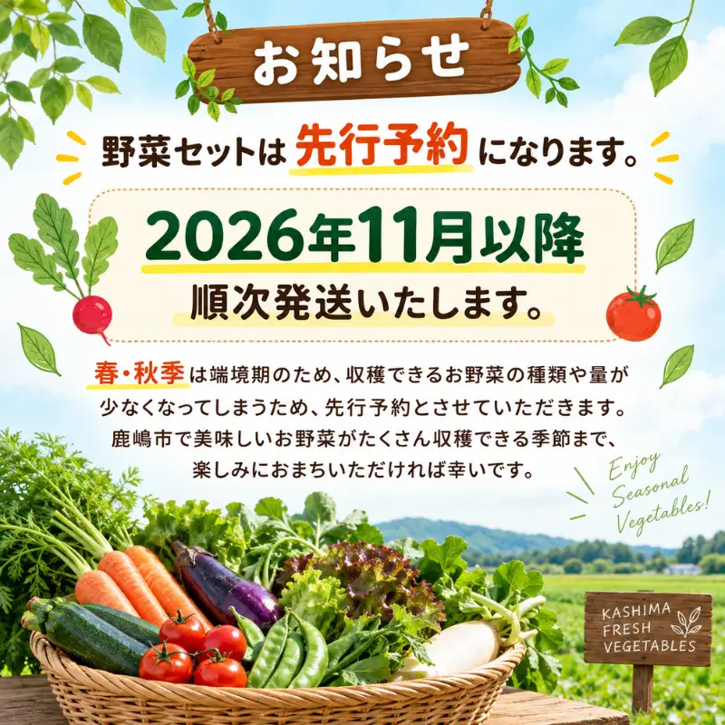 野菜定期便 3回 野菜セット 