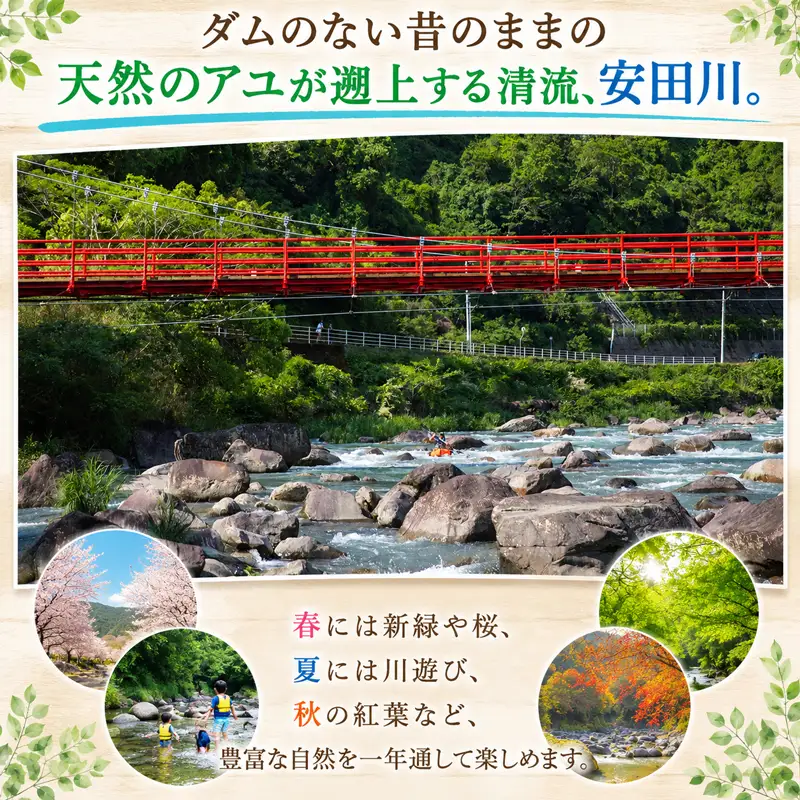 キャビン宿泊 レギュラーシーズン 安田川アユおどる清流キャンプ場 YC0001