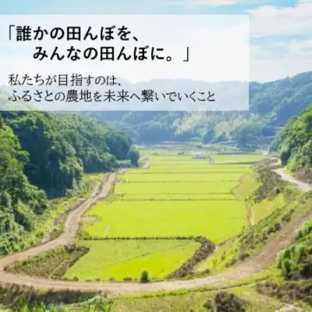 【毎月定期便】小浦れんげ米(にじのきらめき) 精米(白米)3kg　全6回【4092808】